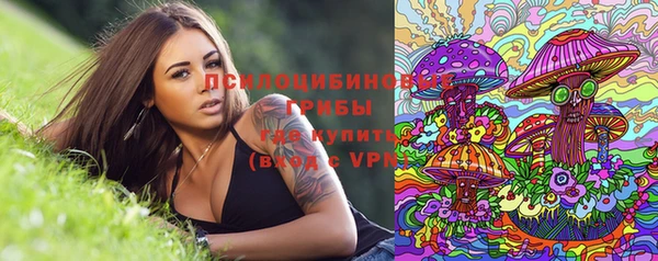 прущий лед Ладушкин