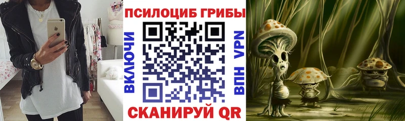 Псилоцибиновые грибы Magic Shrooms  купить наркотик  Костомукша 