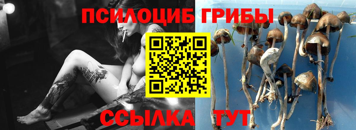 Костомукша  Псилоцибиновые грибы Psilocybine cubensis  Вход с VPN  Псилоцибиновые грибы мухоморы 